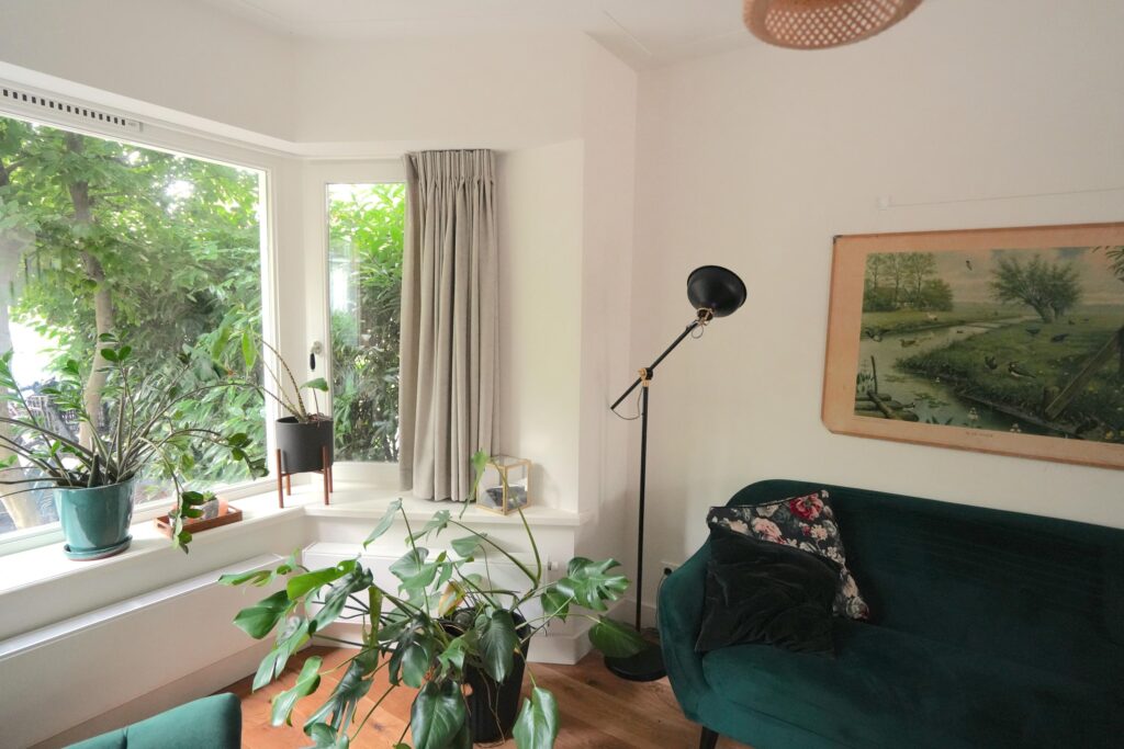 Cozy living room with plants and green couch.