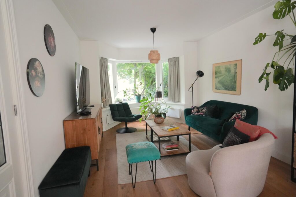 Cozy living room with green sofa and plants.