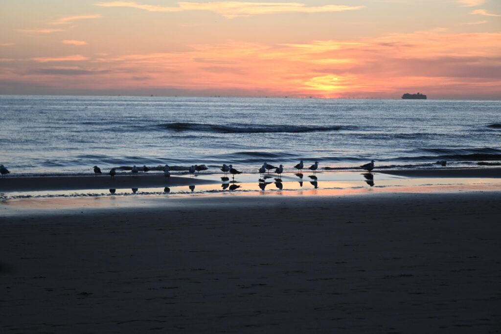 kazerneplein 27, haarlem – foto 53