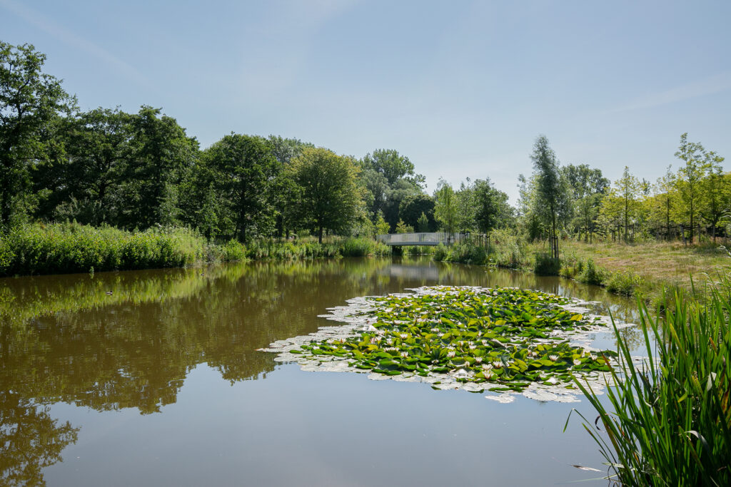 jacques perklaan 26, haarlem – foto 41