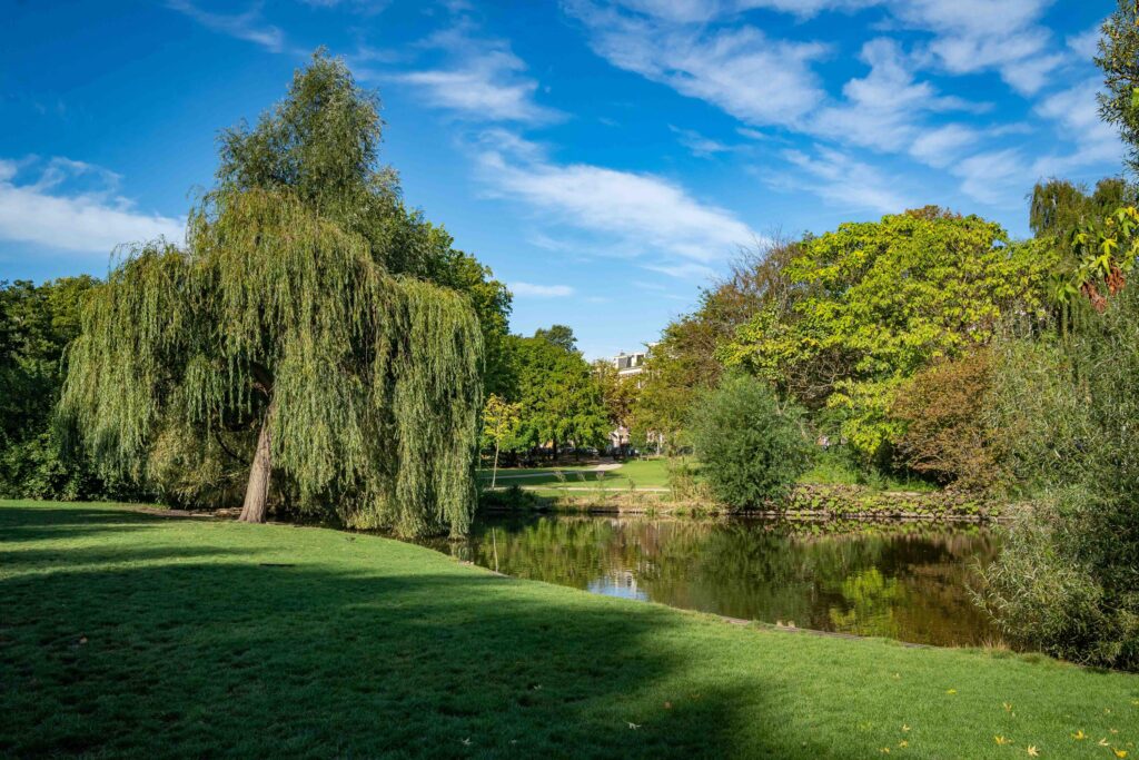 tweede jan van der heijdenstraat 103a, amsterdam – foto 31