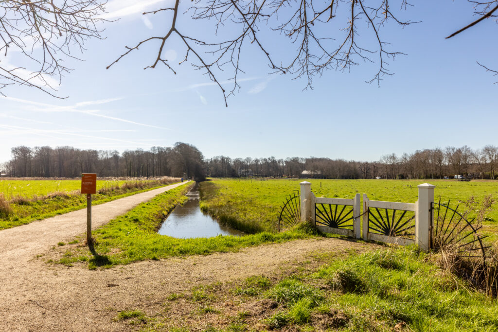 dickmansstraat 35, haarlem – foto 2