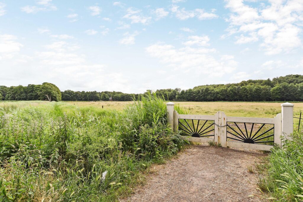 dickmansstraat 35, haarlem – foto 19