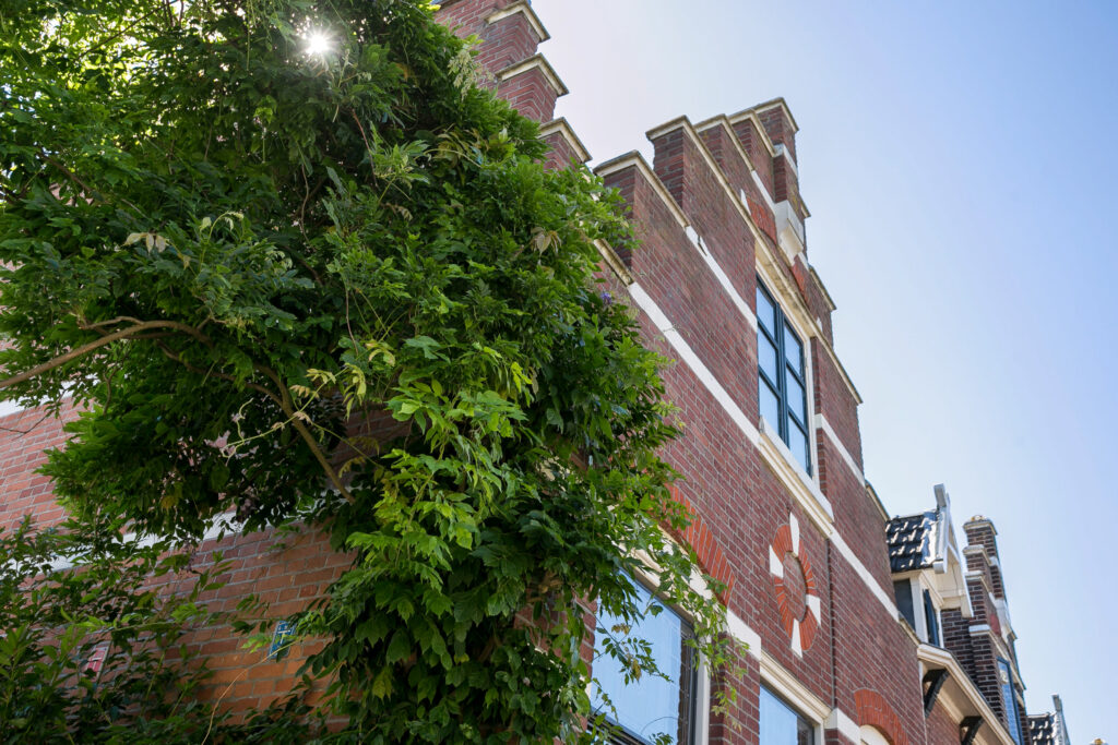 lourens costerstraat 14, haarlem – foto 5