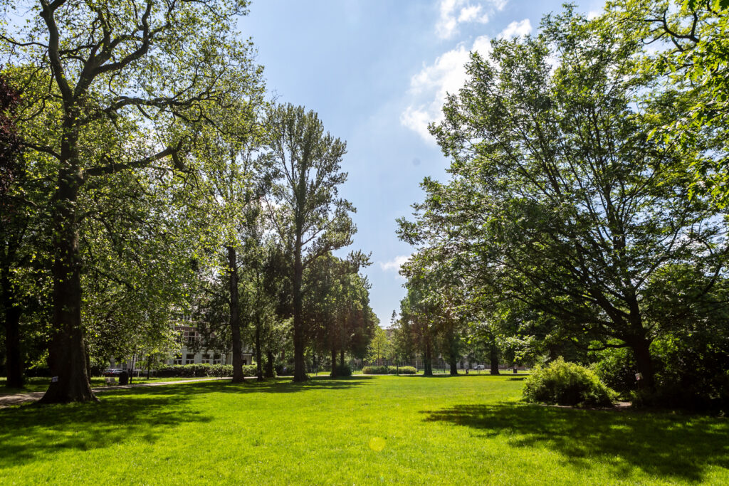 bloemhofstraat 16h, haarlem – foto 13