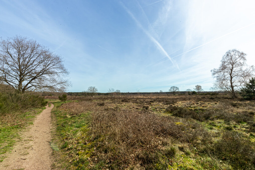 van linschotenstraat 26, bussum – foto 31