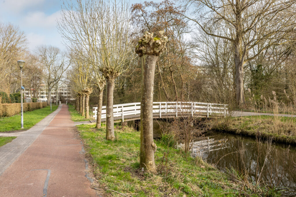 eendenkooistraat 14, haarlem – foto 33